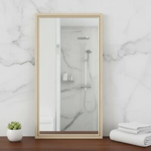 CM3777 - Oferta Caja x18 - Espejo 33x62.5cm
