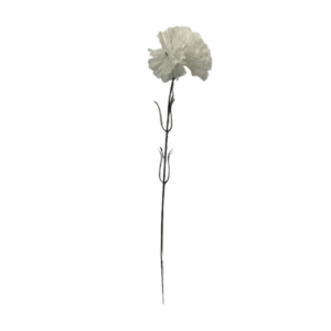 4191 - Clavel Eco Blanco (Vta min x 20 Uni)