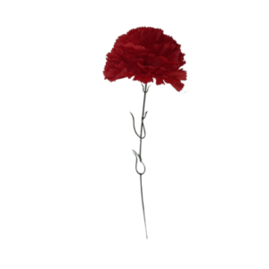 4192 - Clavel Eco Rojo (Vta min 20 Uni)