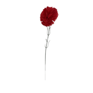 4194 - Clavel Calidad Rojo (Vta min 20 Uni)