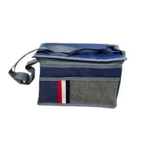 CM4292 - Oferta Caja x 80 Unid - Bolso lonchera térmica c/correa 27x18x13cm (0958)
